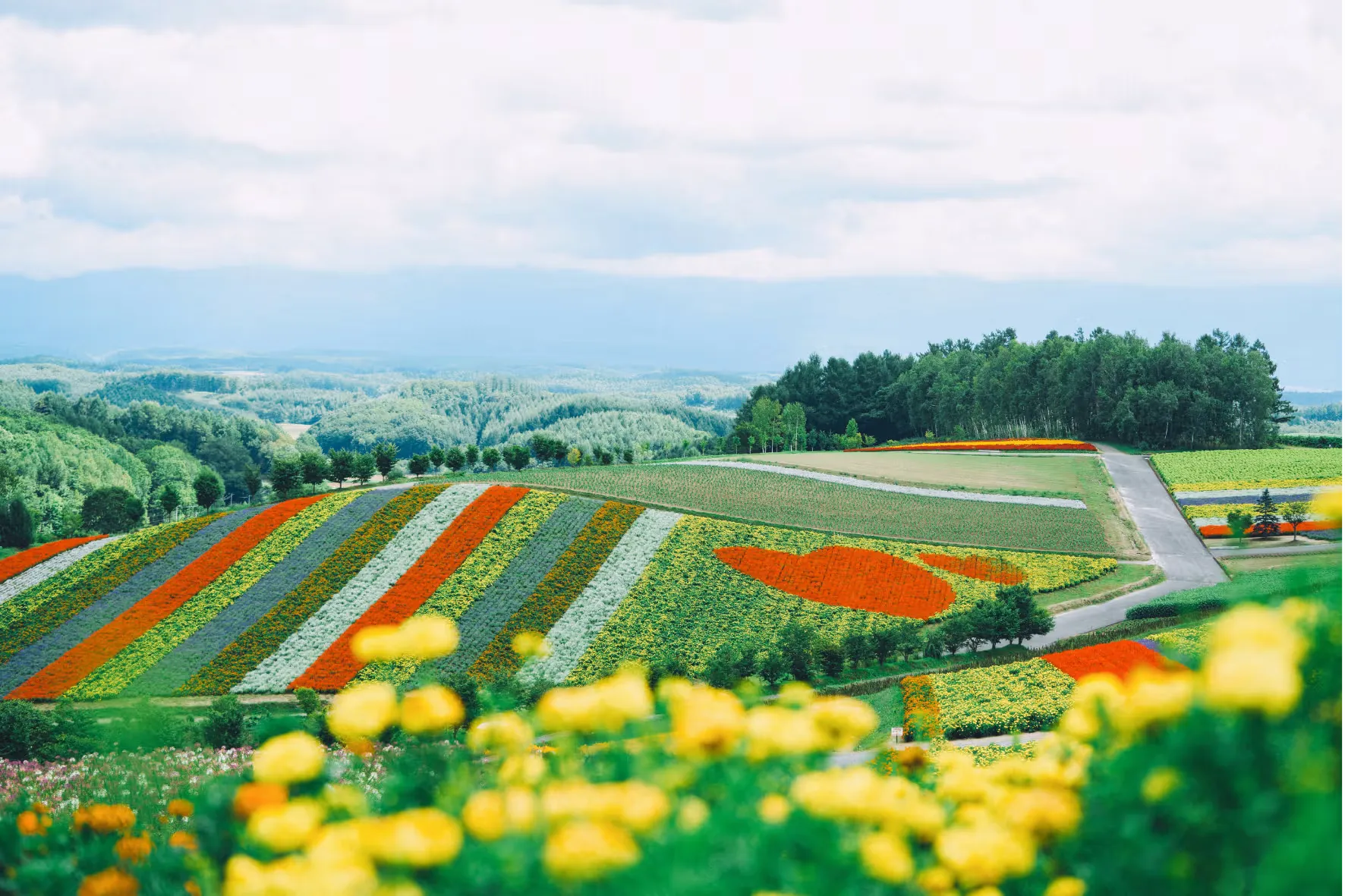 Scenic Hokkaido landscape